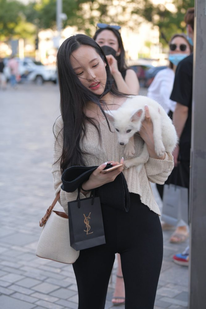 抱着小狗的漂亮女孩 J2106 136P-3.25GB-街图社
